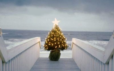 ¿Por qué celebrar la Navidad en un restaurante? | Gloriamar