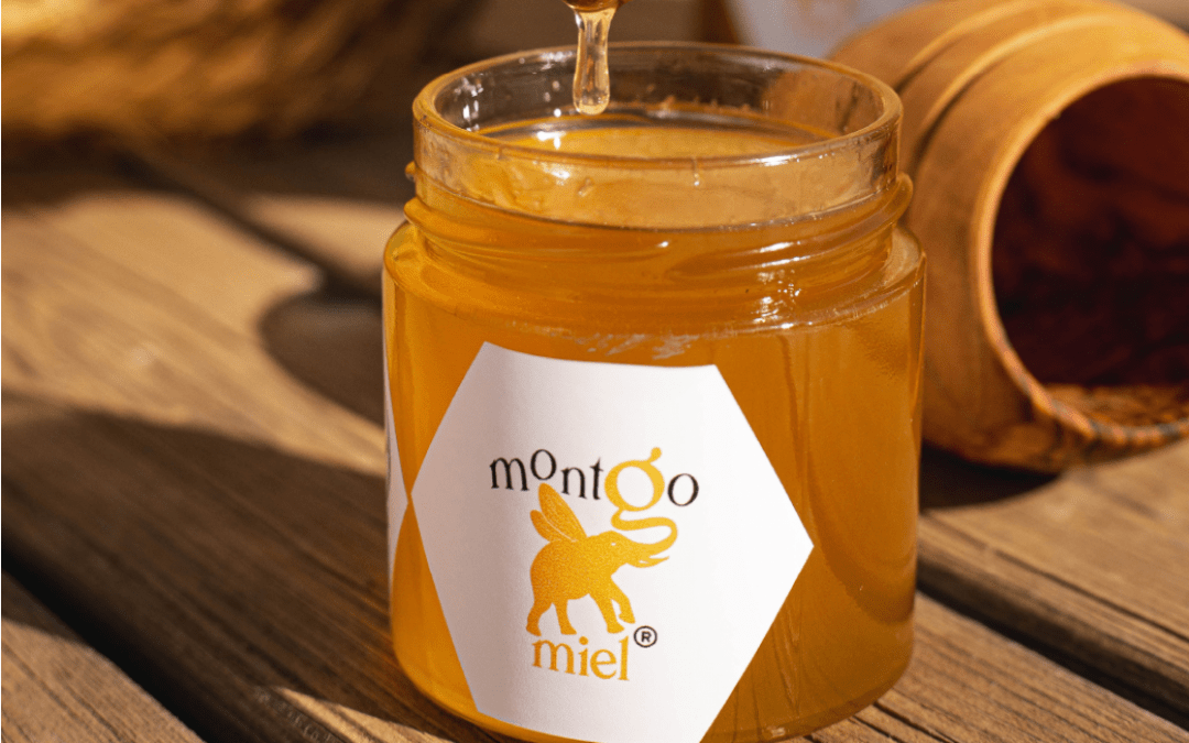 SomGloriamar 2022-2023